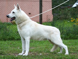 MALYSHKA  AIRIN  ALEKS  (Алекс) 