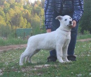 МАЛЫШКА  АЙРИН ОЛИВЕР  (Олик)