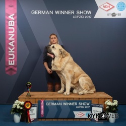 ПЕРВЫЕ НАШИ ПОБЕДЫ в Германии на "German Winner Show" 08.11.2017.